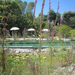 La Les Hesperides Grimaud